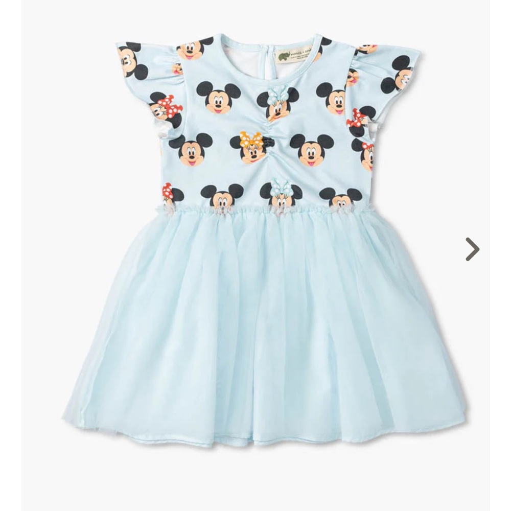 Monica + Andy Disney Short Sleeve Tulle Dress